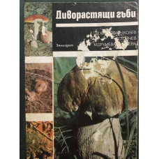 Диворастящи гъби