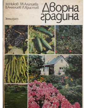 Дворна градина