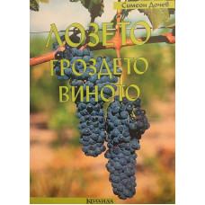 Лозето, гроздето, виното