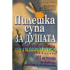 Пилешка супа за душата за тинейджъра