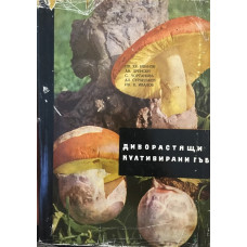 Диворастящи и култивирани гъби