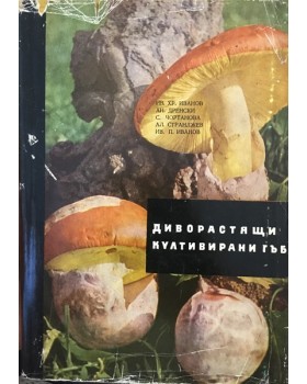 Диворастящи и култивирани гъби