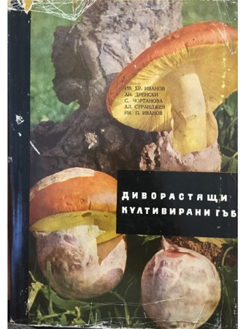 Диворастящи и култивирани гъби