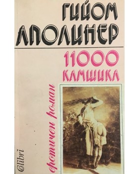 11000 камшика
