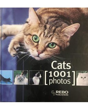 Cats. 1001 Photos