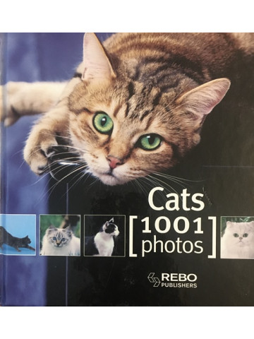 Cats. 1001 Photos