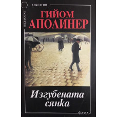 Изгубената сянка