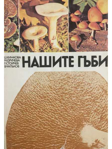 Нашите гъби