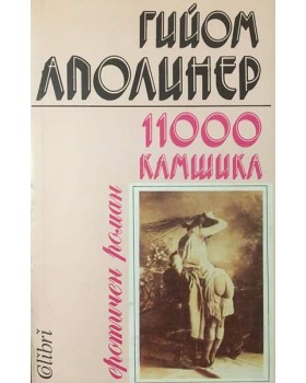 11000 камшика
