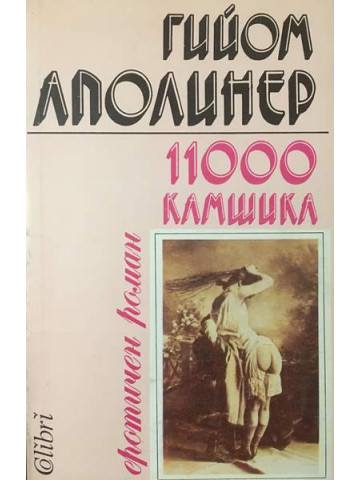 11000 камшика