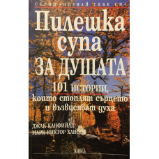 Пилешка супа за душата