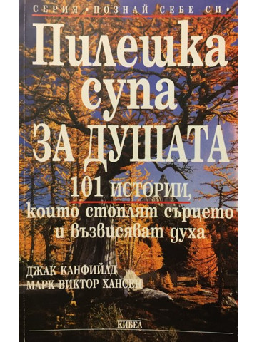 Пилешка супа за душата