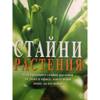 Стайни растения. Най-красивите стайни растения за дома и офиса