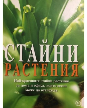 Стайни растения. Най-красивите стайни растения за дома и офиса