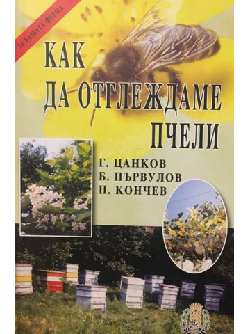 Как да отглеждаме пчели