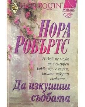 Да изкушиш съдбата 